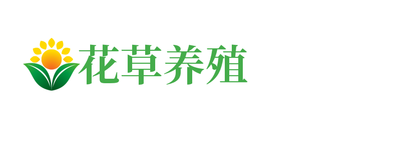 大阳城游戏·(中国)官方网站